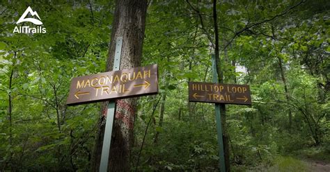  Hiking Through History: A Chronicle of France's Hidden Trails - Unveiling the Forgotten Paths of Time and Nature